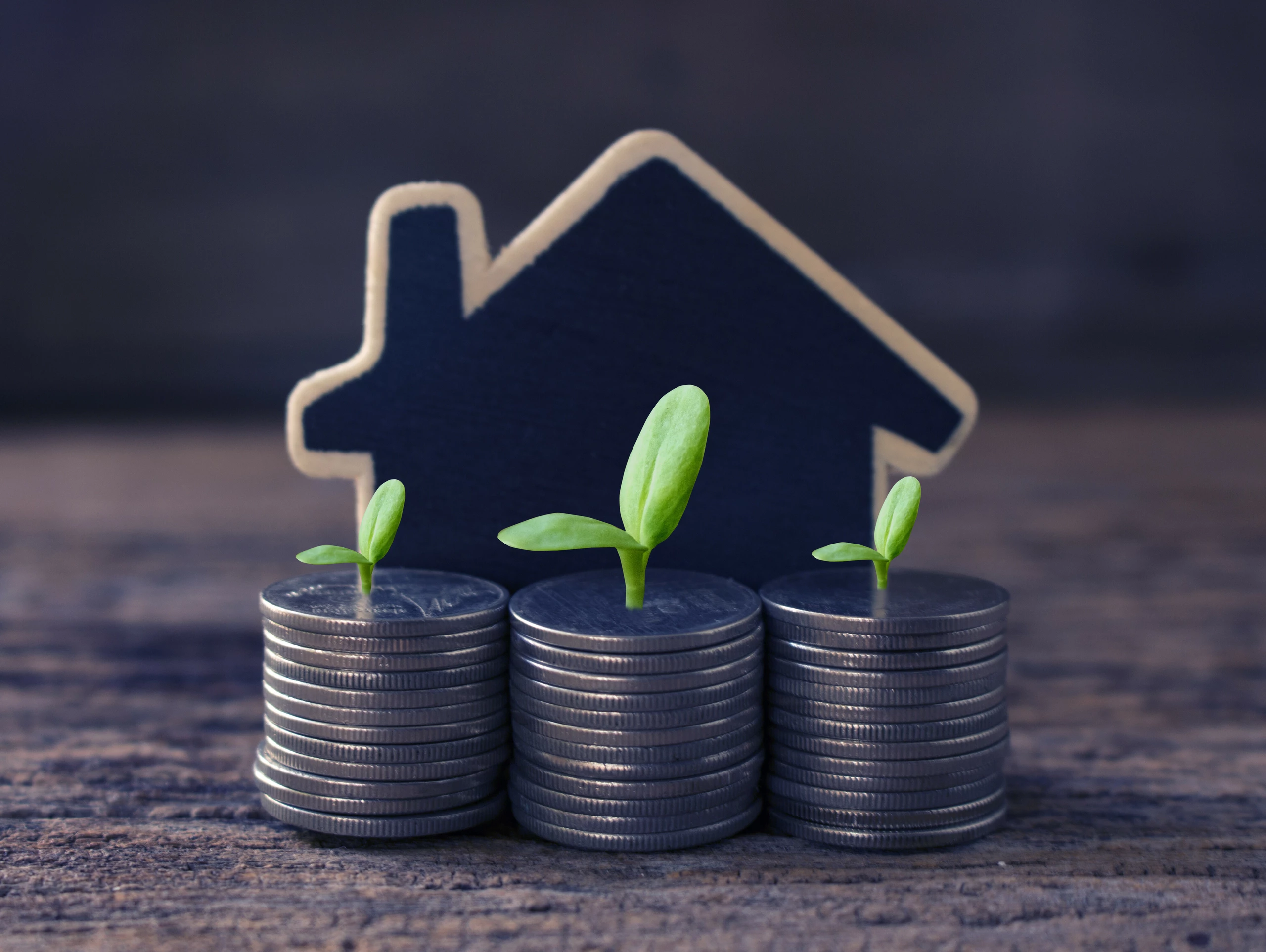 Immobilien Verwalten