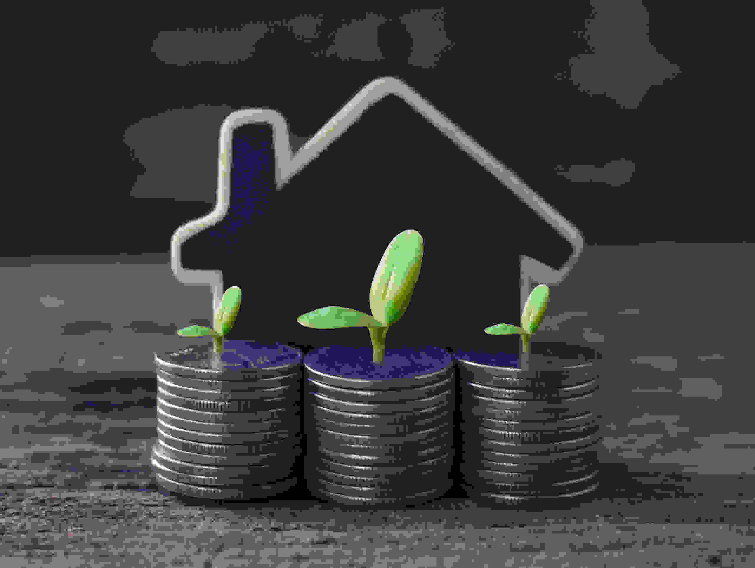 Immobilien Verwalten